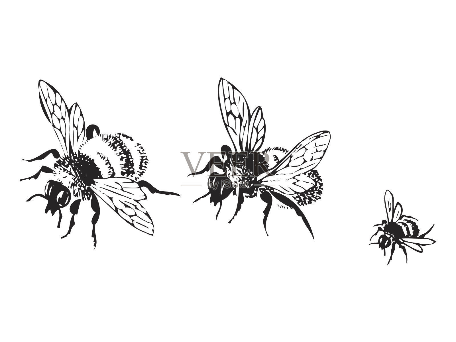 矢量雕刻古董插图的蜂蜜飞行的蜜蜂插画图片素材