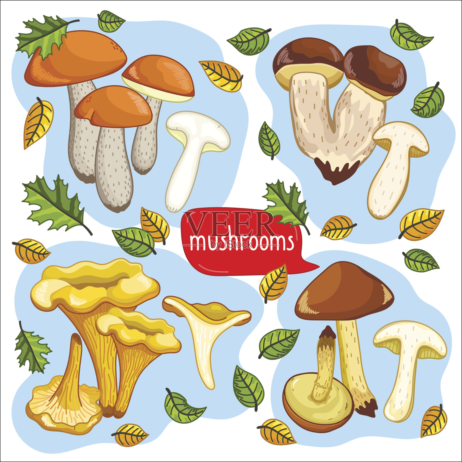 不同类型的蘑菇矢量插图设计元素图片