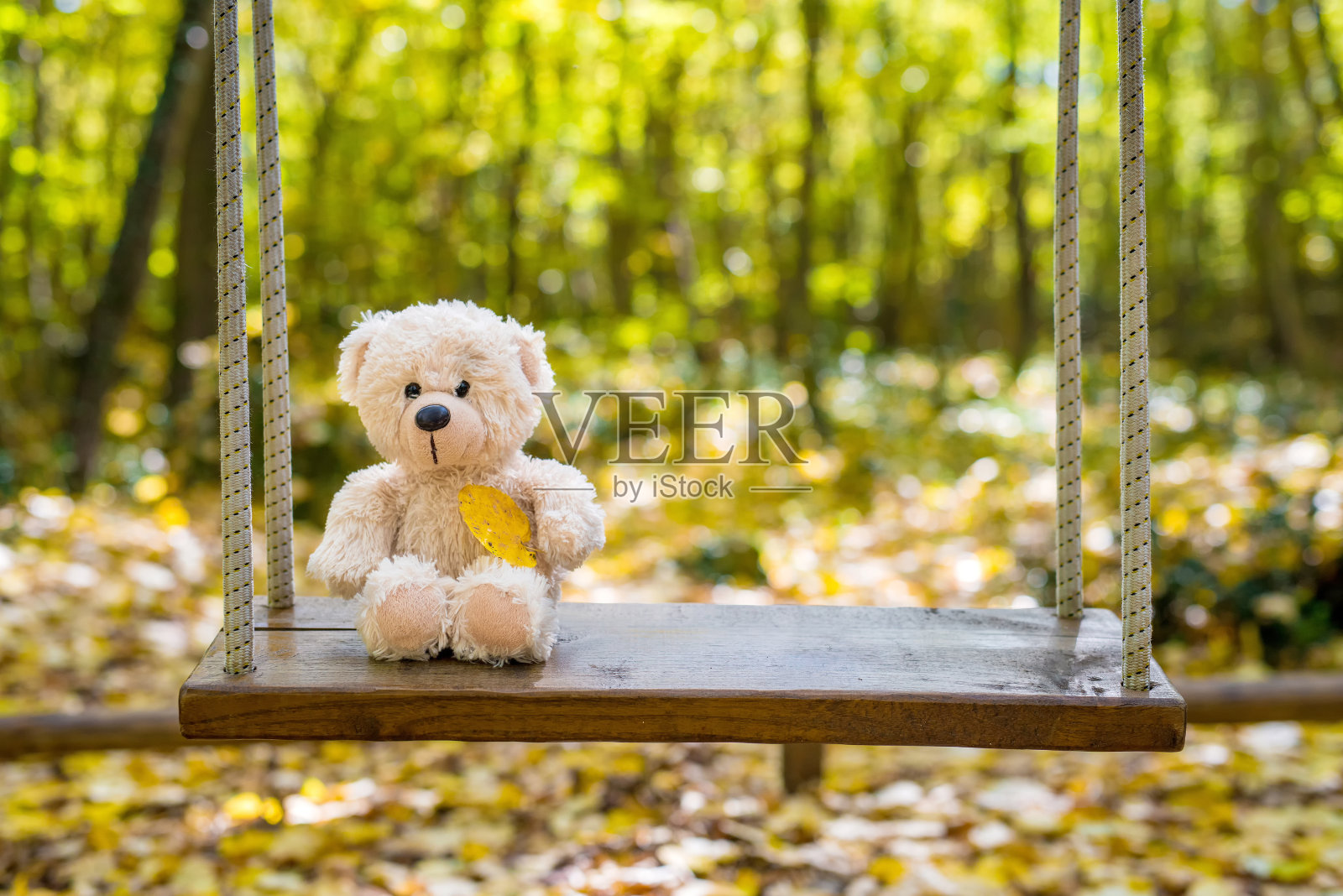泰迪熊在秋季公园荡秋千照片摄影图片