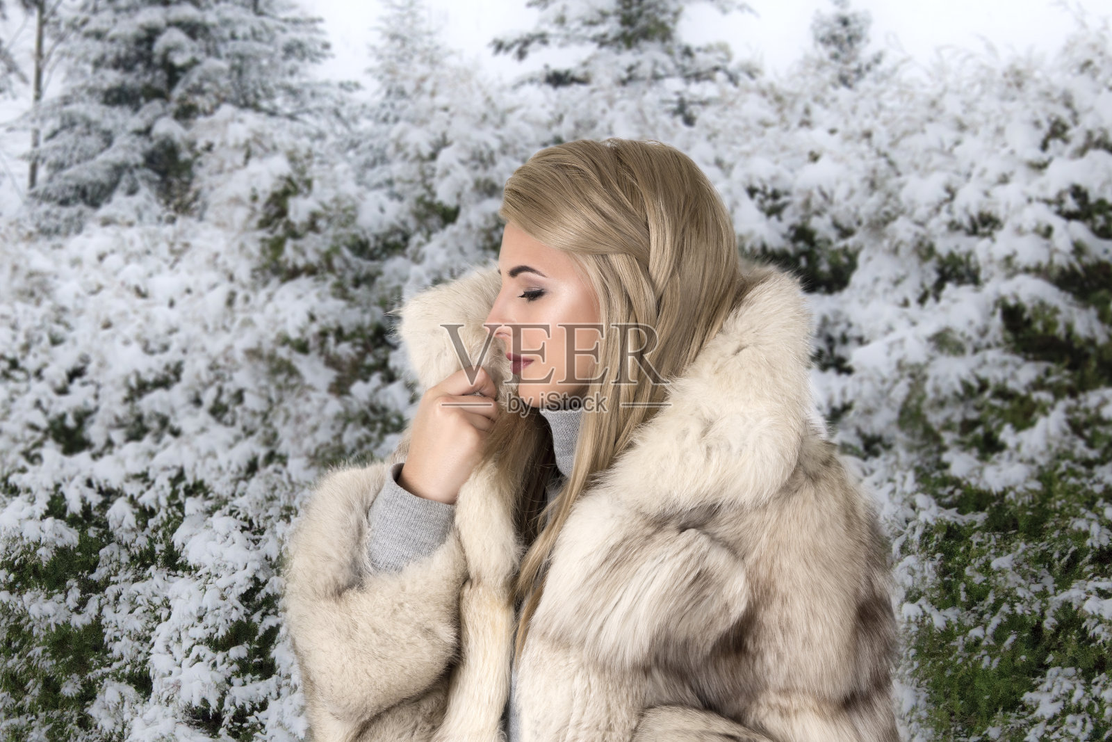 穿裘皮大衣的女人在白雪覆盖的公园里漫步。她渴望照片摄影图片