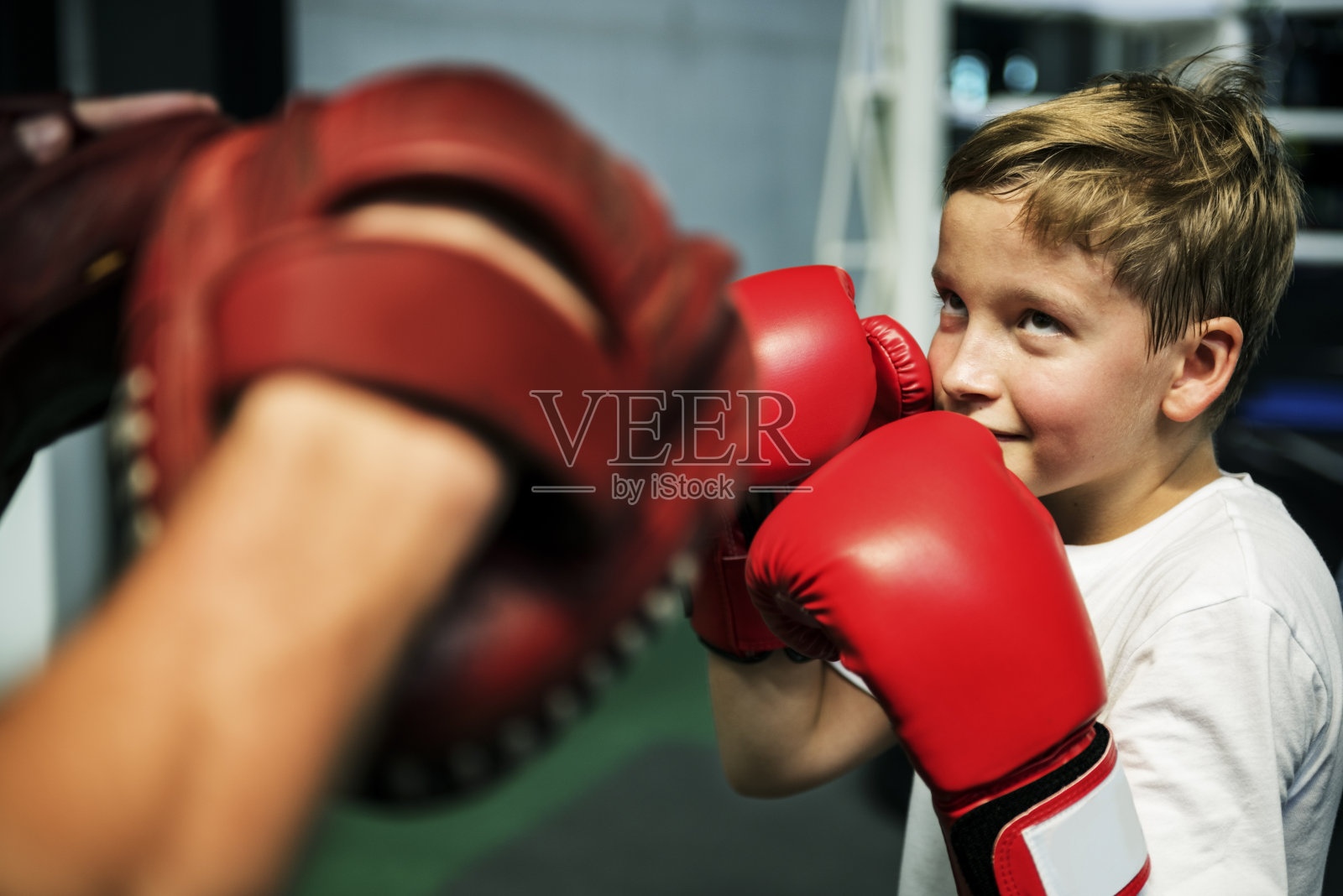 男孩拳击训练拳击手套运动概念照片摄影图片