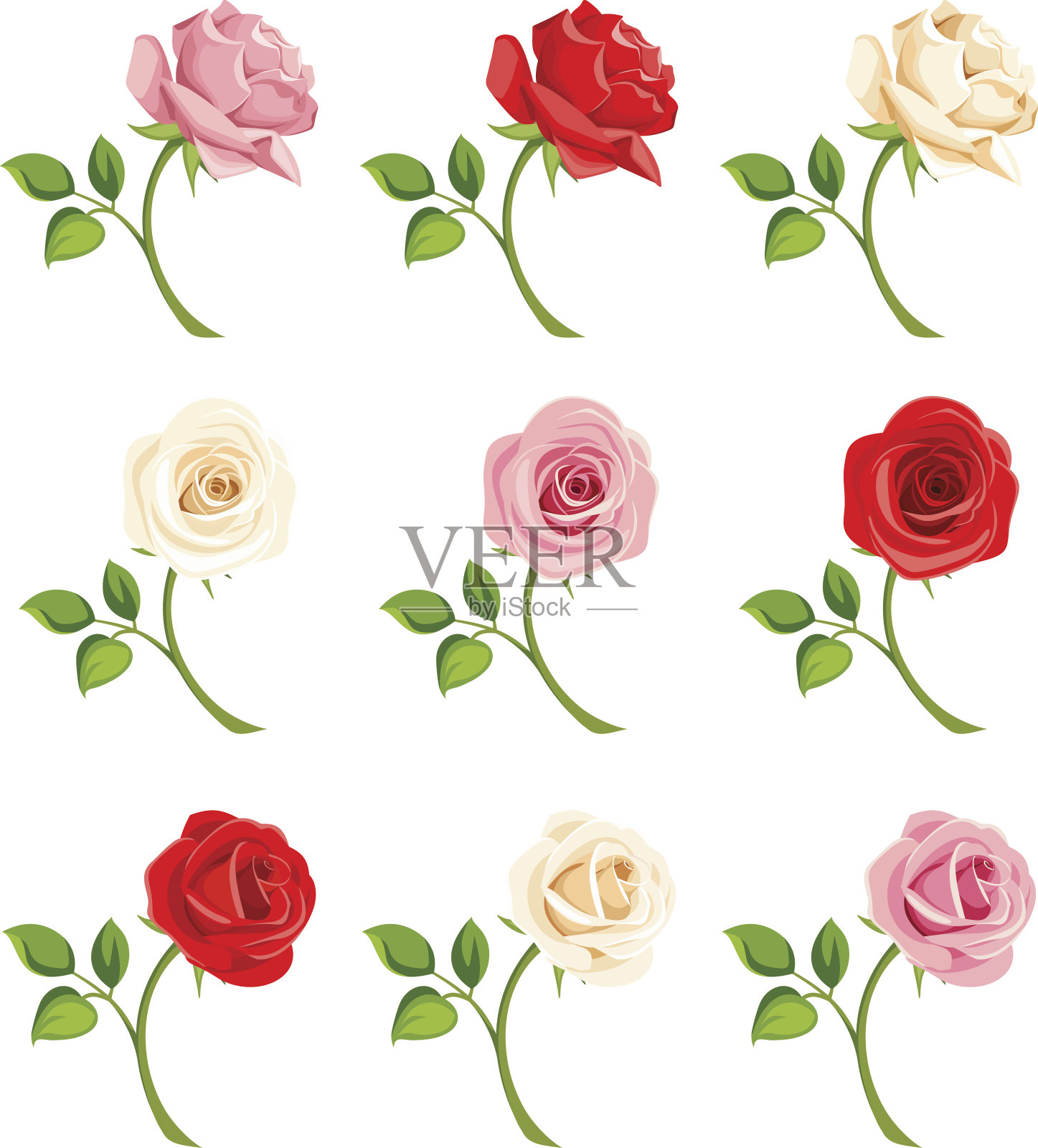 一套红、粉、白玫瑰。矢量插图。插画图片素材