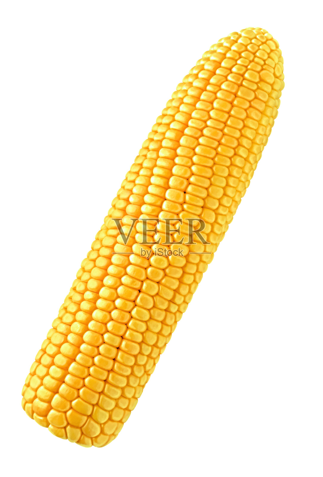 单个玉米孤立在白色上照片摄影图片