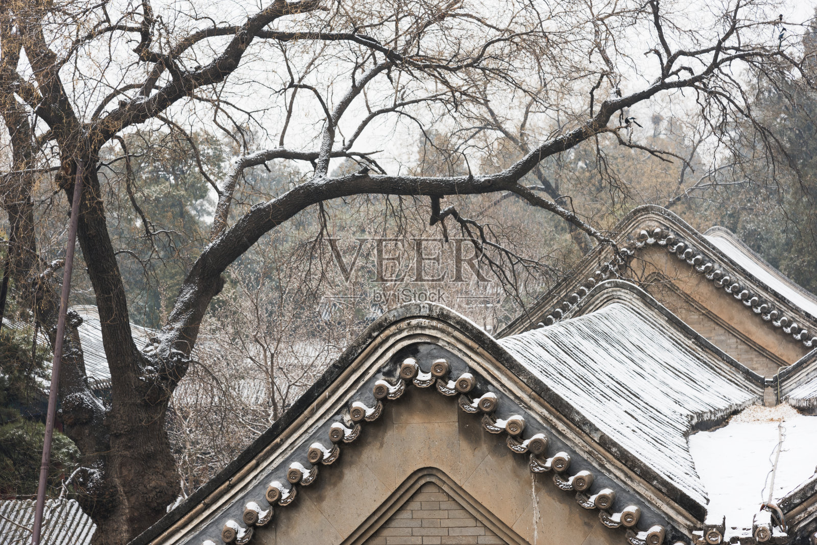 雪吗?旋转的?北京的颐和园照片摄影图片