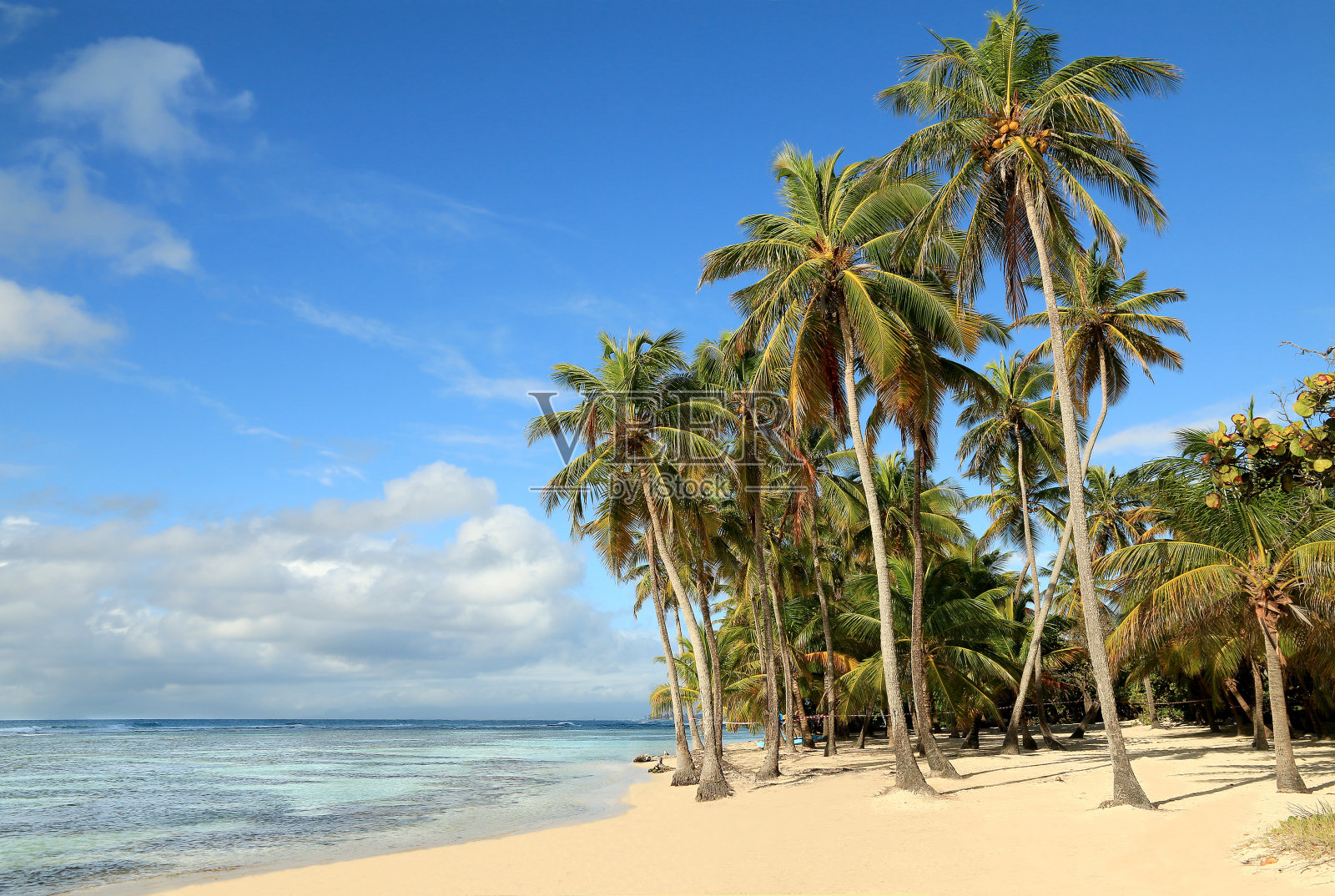 美丽的白色沙滩在加勒比群岛照片摄影图片