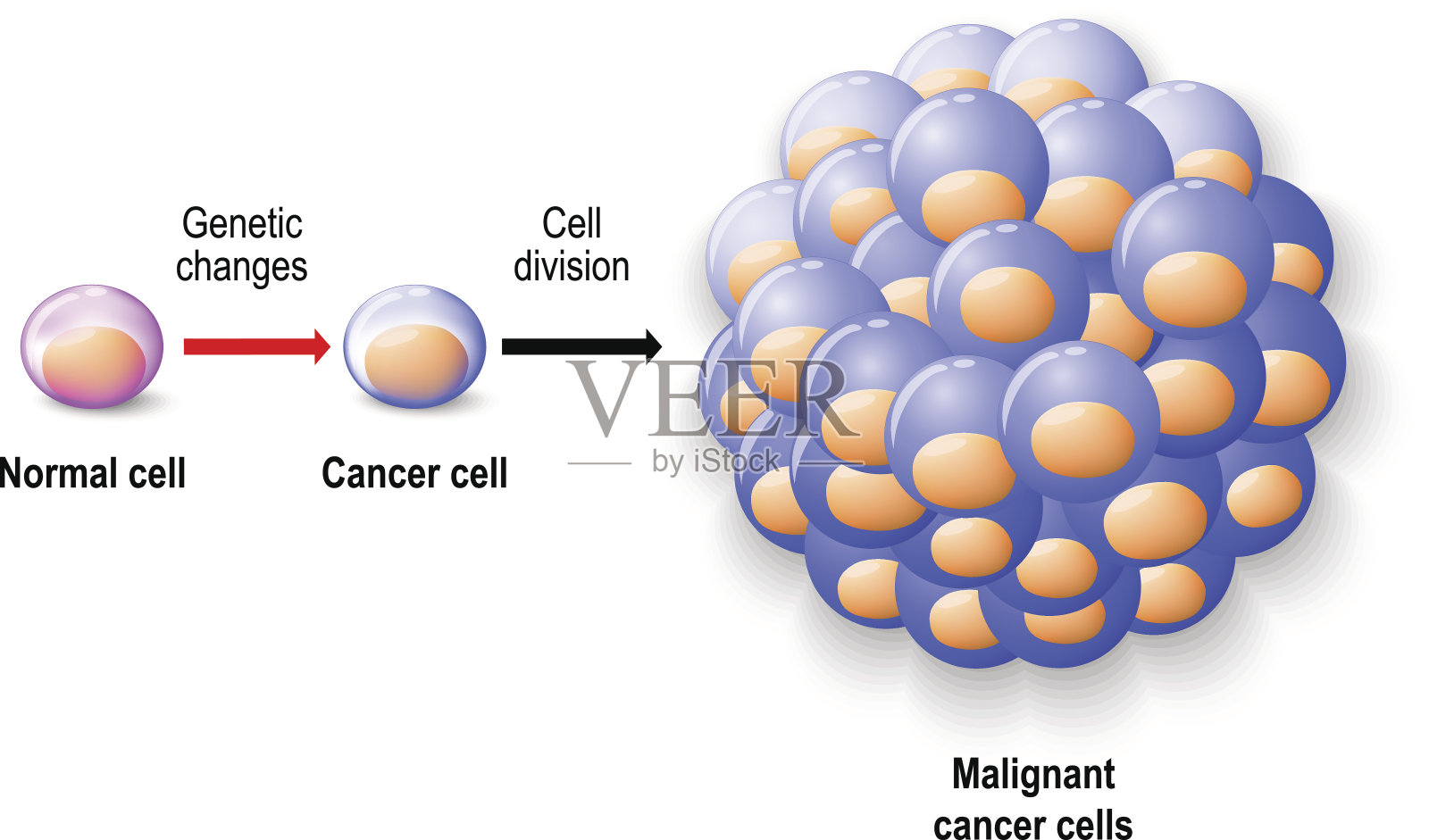 正常人类细胞，癌细胞和恶性肿瘤插画图片素材