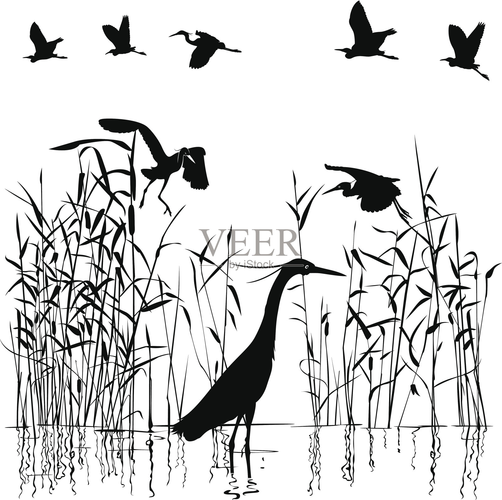 沼泽中的白鹭群插画图片素材