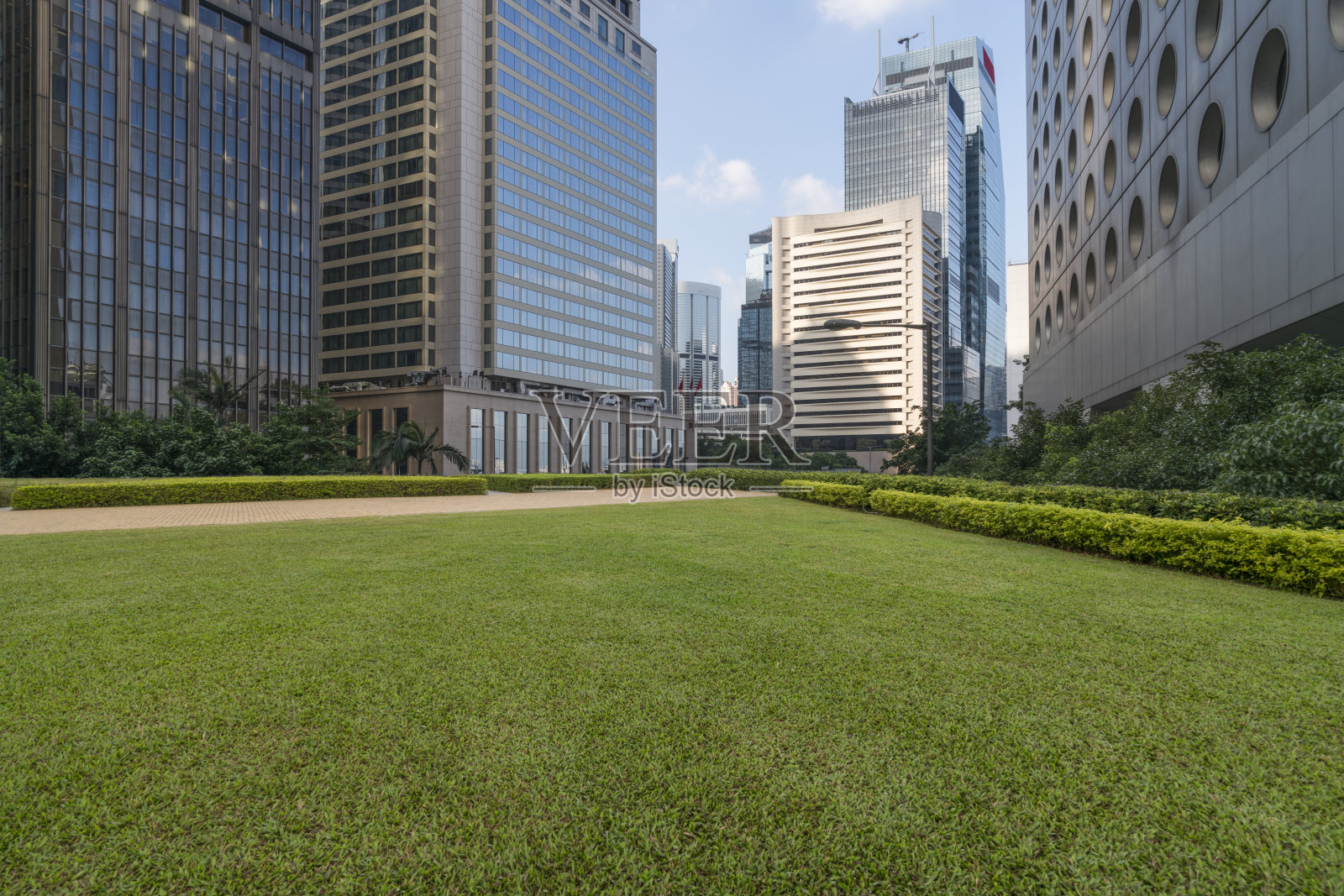 城市天际线前的绿色草坪视野开阔照片摄影图片