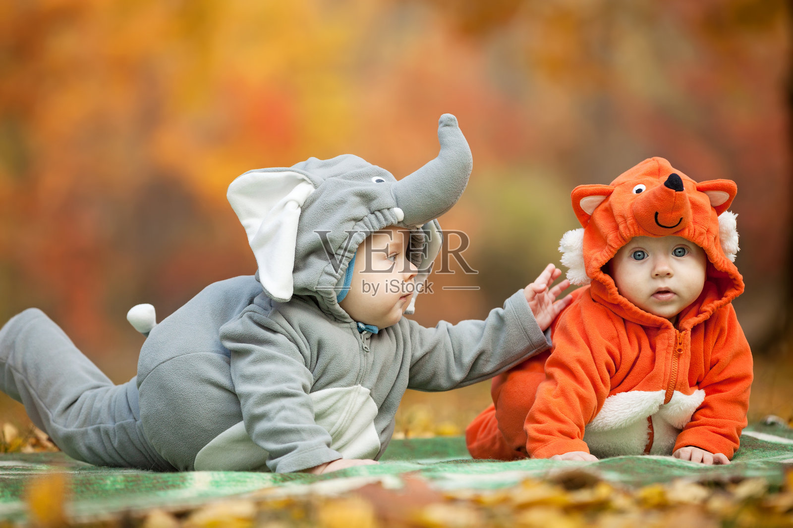 两个小男孩穿着动物服装在户外照片摄影图片