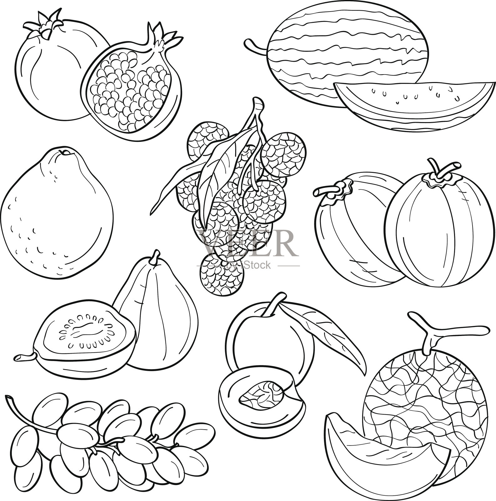 水果插画图片素材