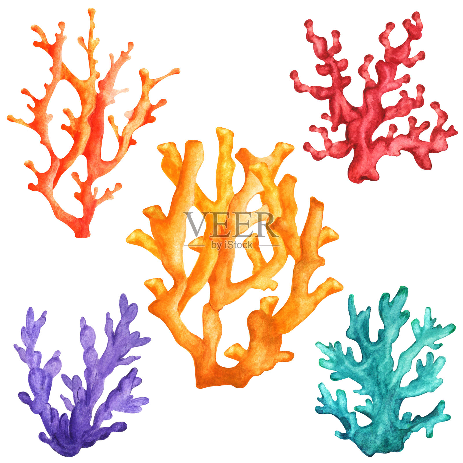 水彩彩色珊瑚集插画图片素材