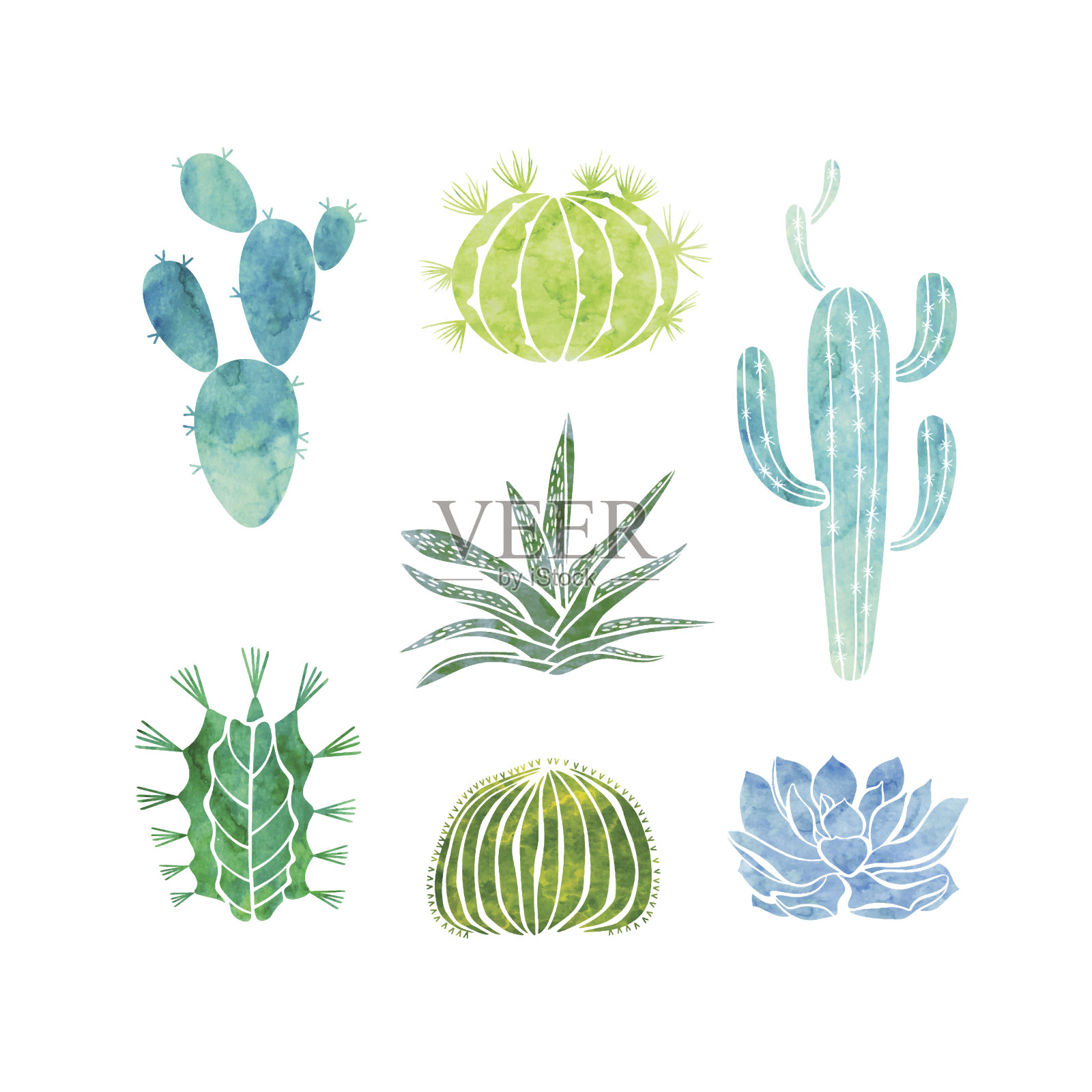白色背景上孤立的仙人掌和多肉植物。向量水彩插图。插画图片素材