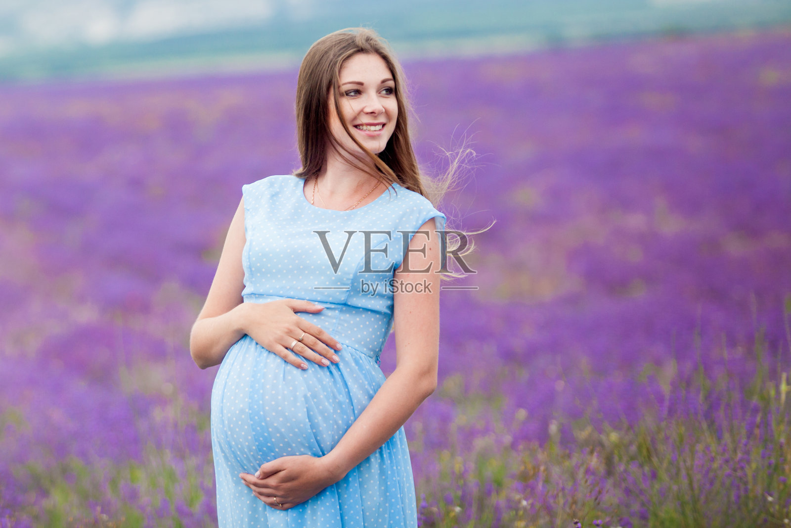一个怀孕的女孩在薰衣草地里照片摄影图片