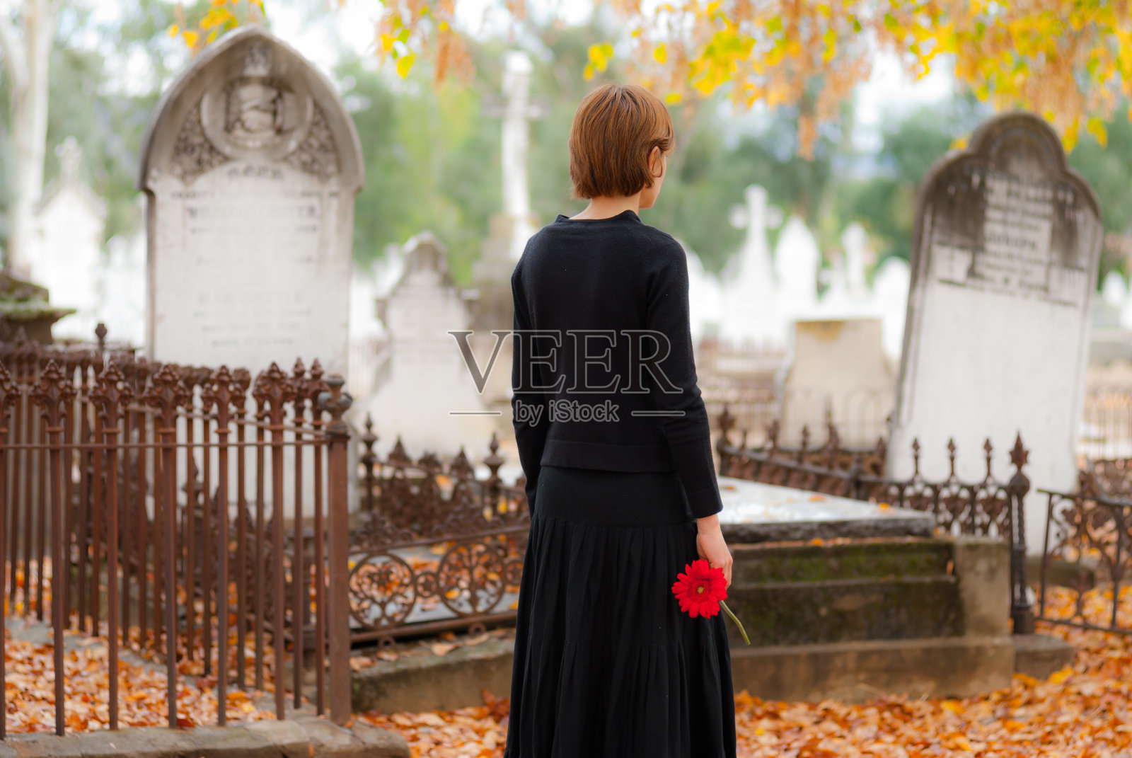 年轻女子在悼念走在墓地在秋天与红花照片摄影图片