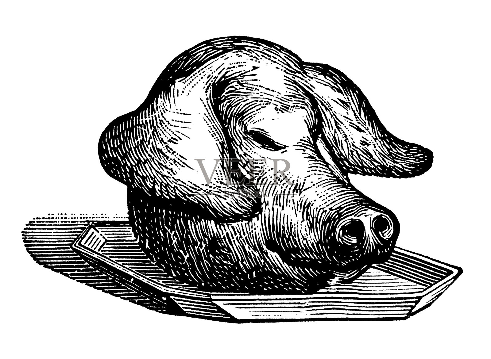 复古剪辑艺术和插图|猪头托盘设计元素图片
