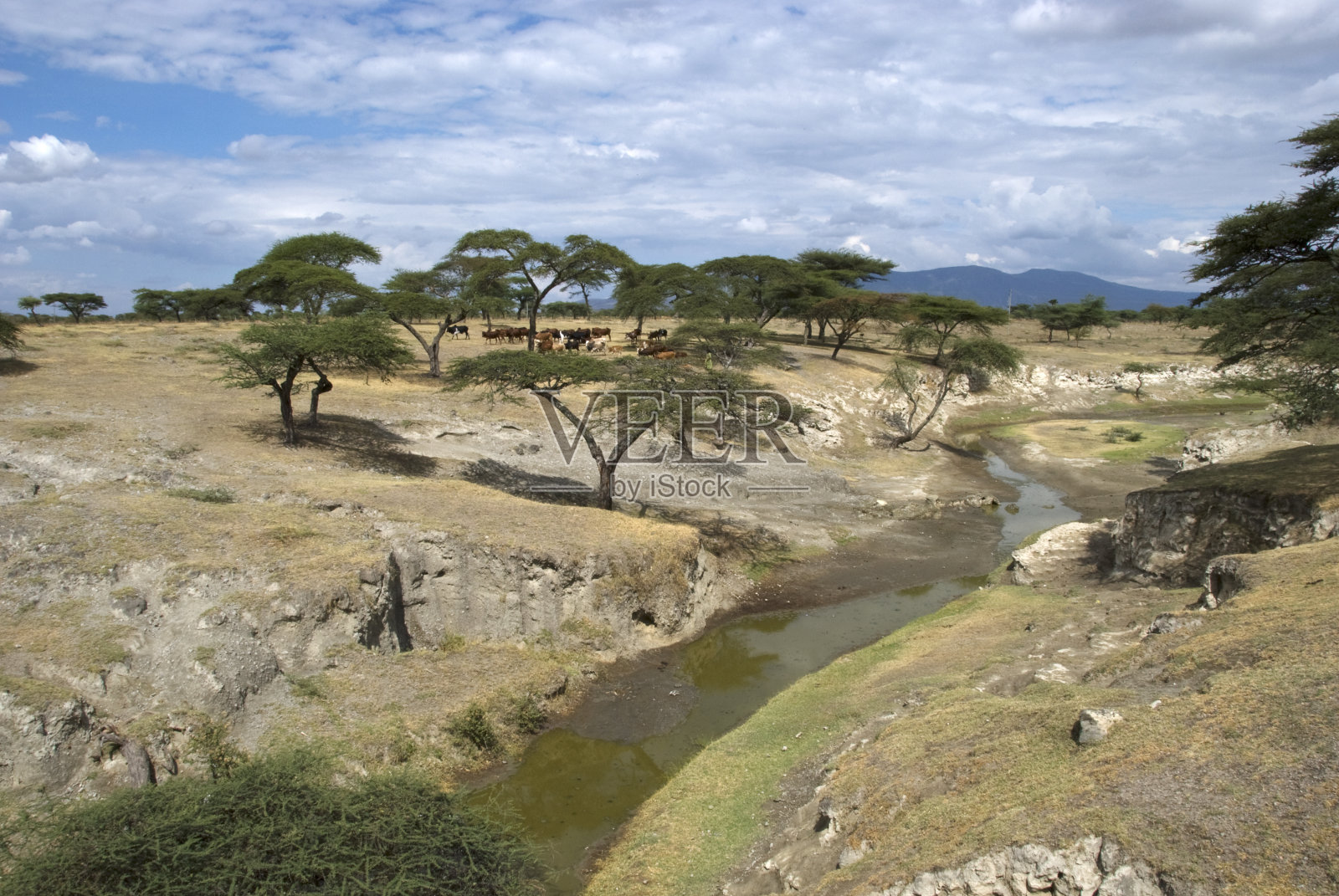 埃塞俄比亚的河照片摄影图片