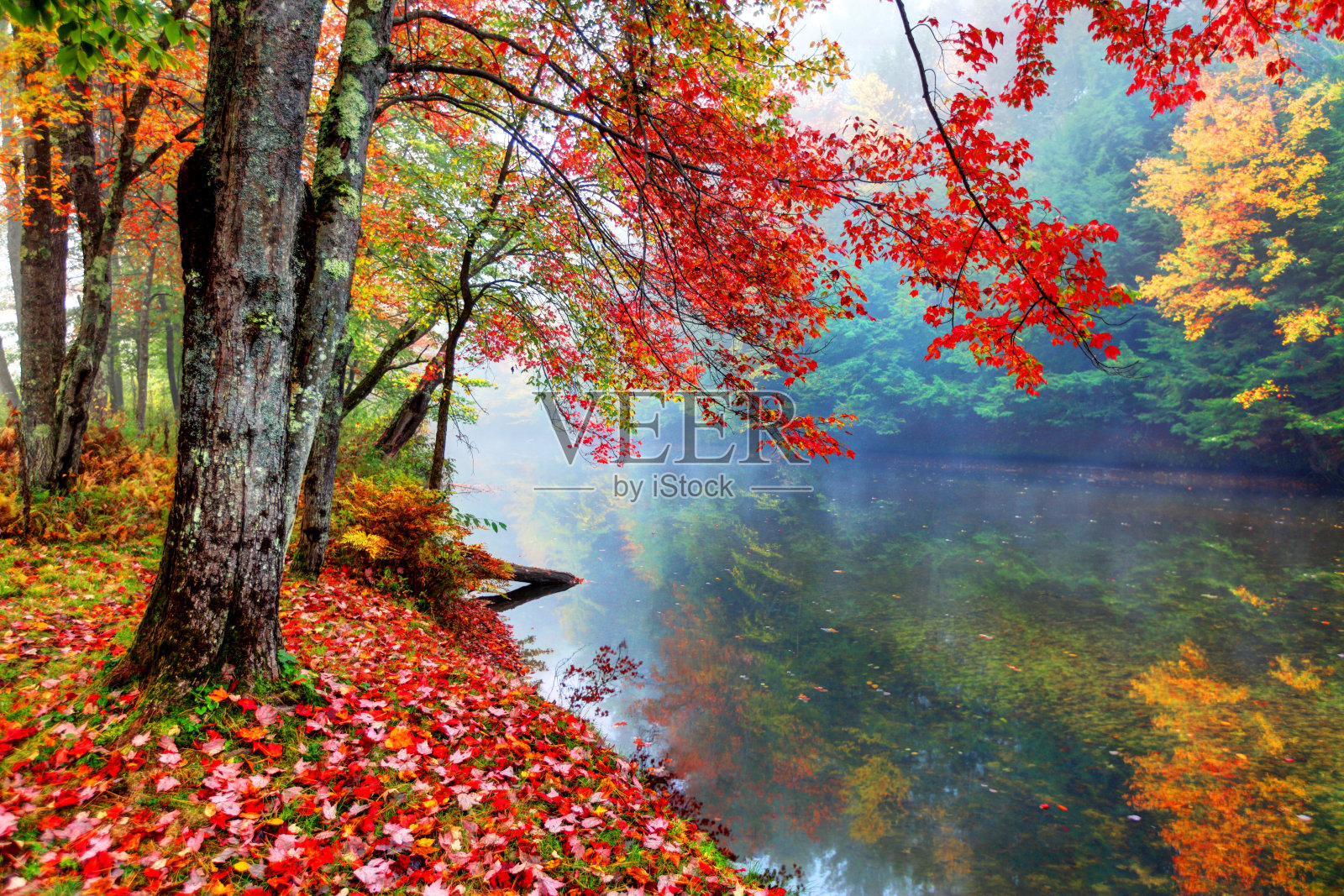 新罕布什尔一条小溪上鲜艳的秋色照片摄影图片