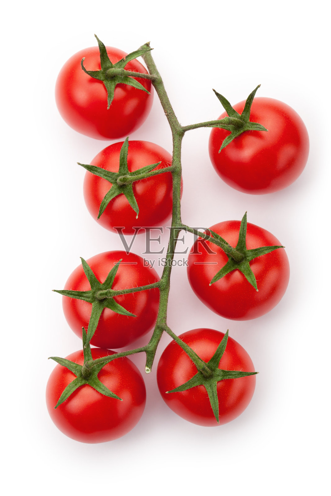 成熟的樱桃番茄照片摄影图片