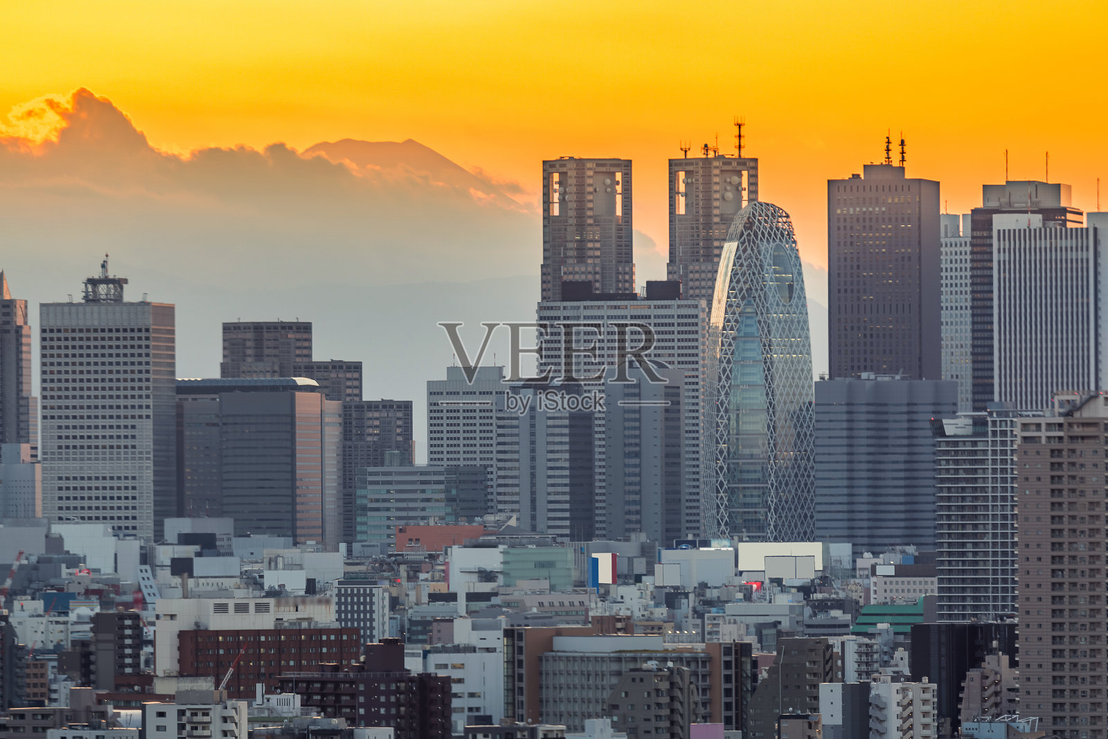 东京新宿和富士照片摄影图片