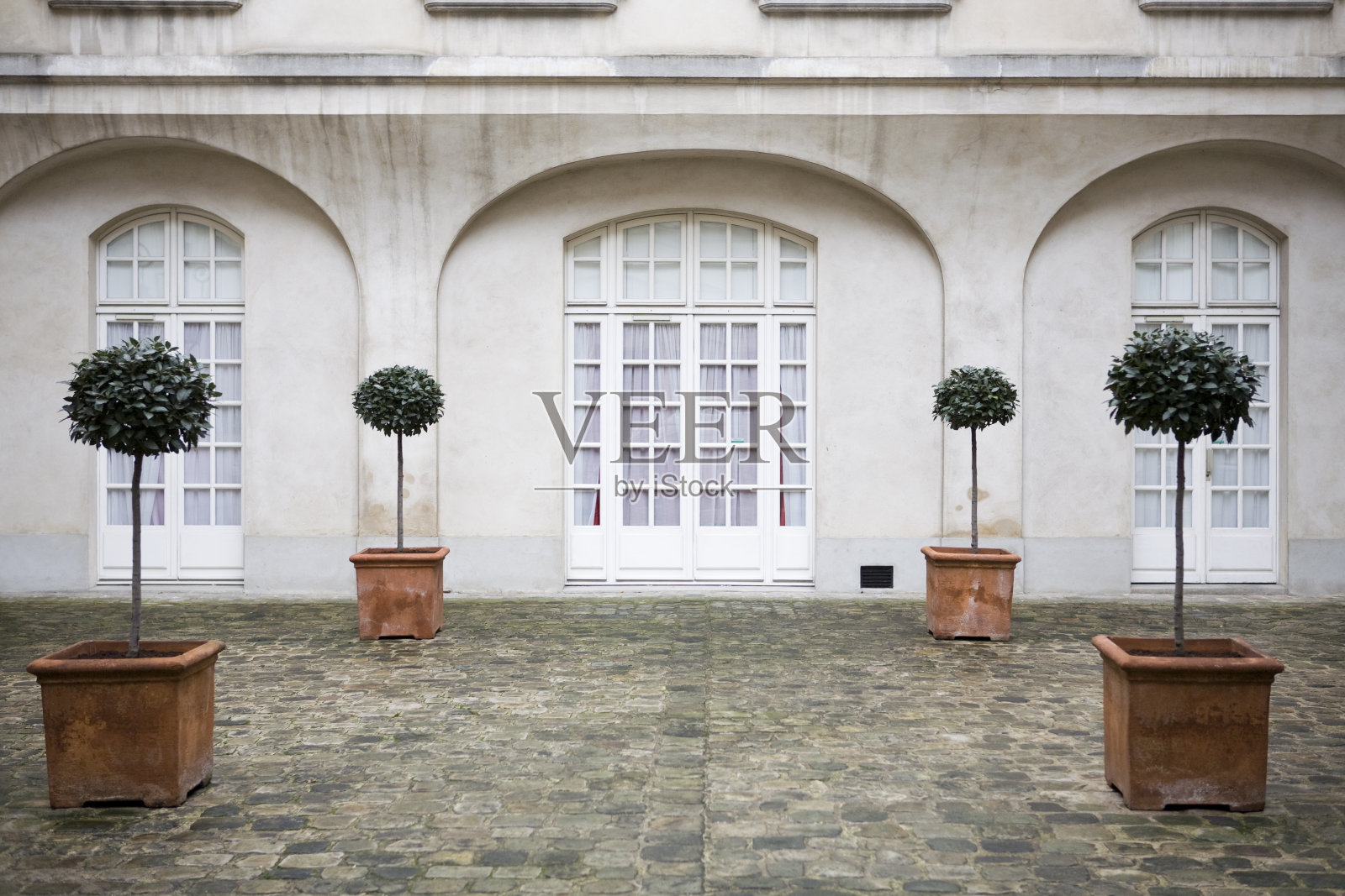 四棵盆栽树在一个正式的法式入口照片摄影图片