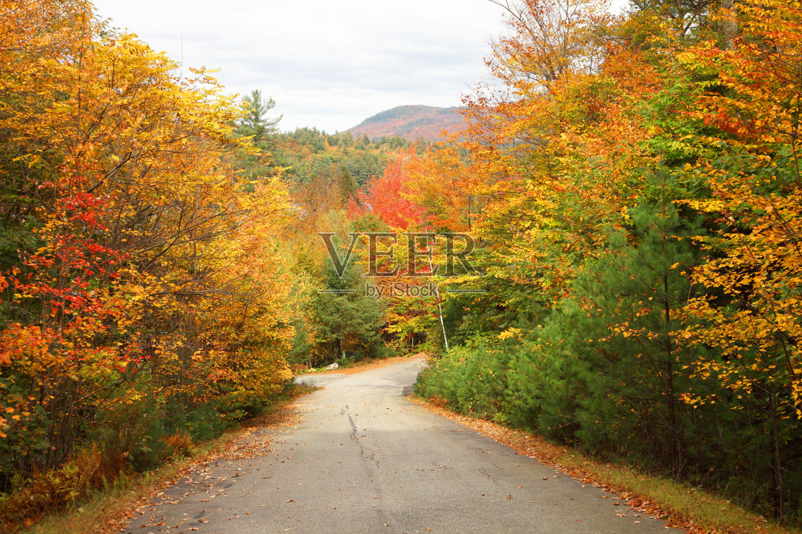 秋天的道路照片摄影图片