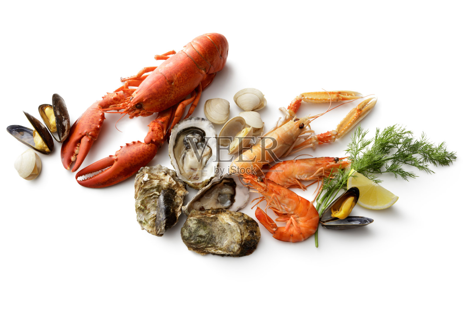 海鲜:龙虾，海螯虾，虾，牡蛎，贻贝和蛤分离照片摄影图片