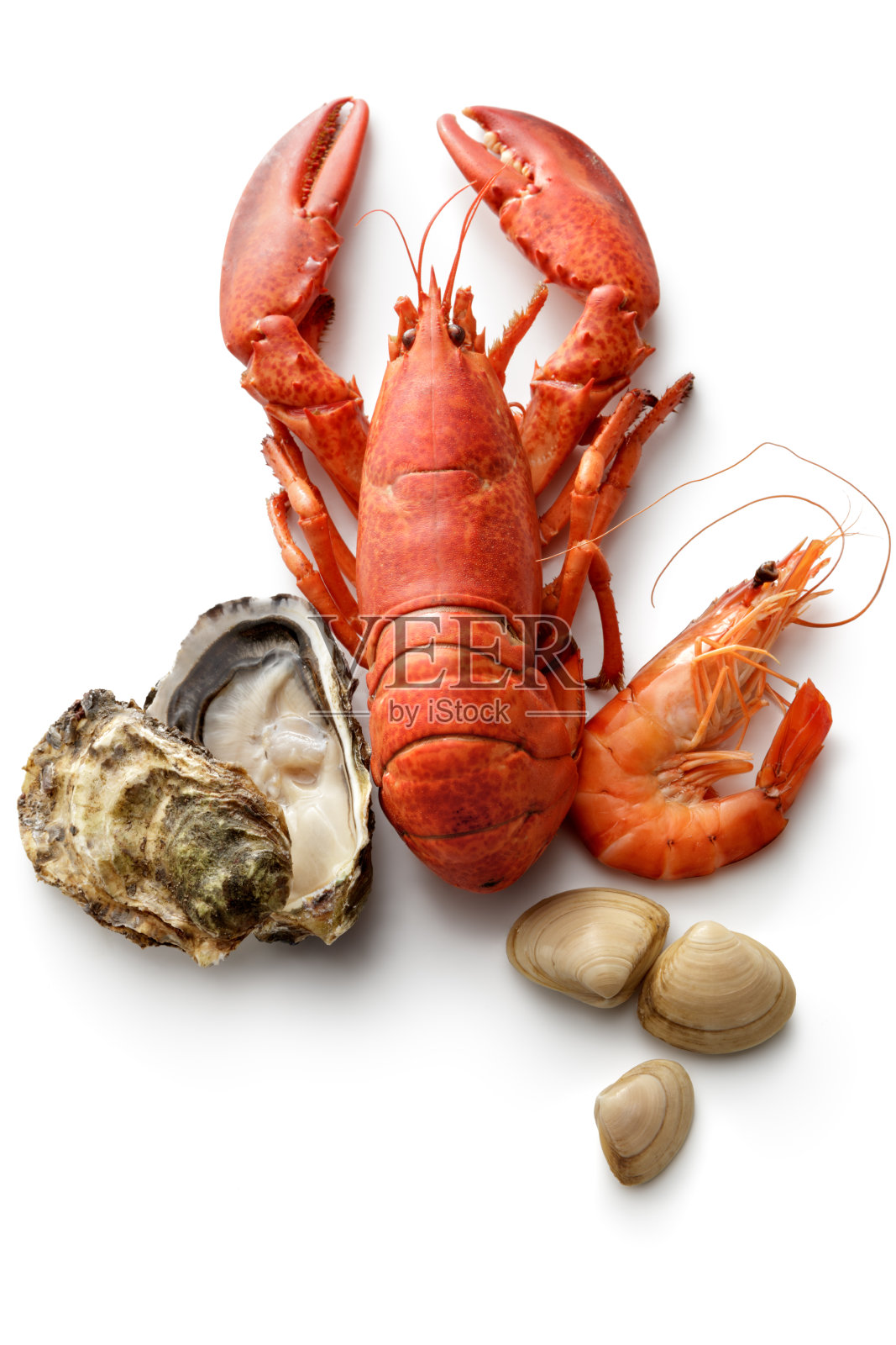 海鲜:龙虾，虾，牡蛎和蛤孤立在白色的背景照片摄影图片