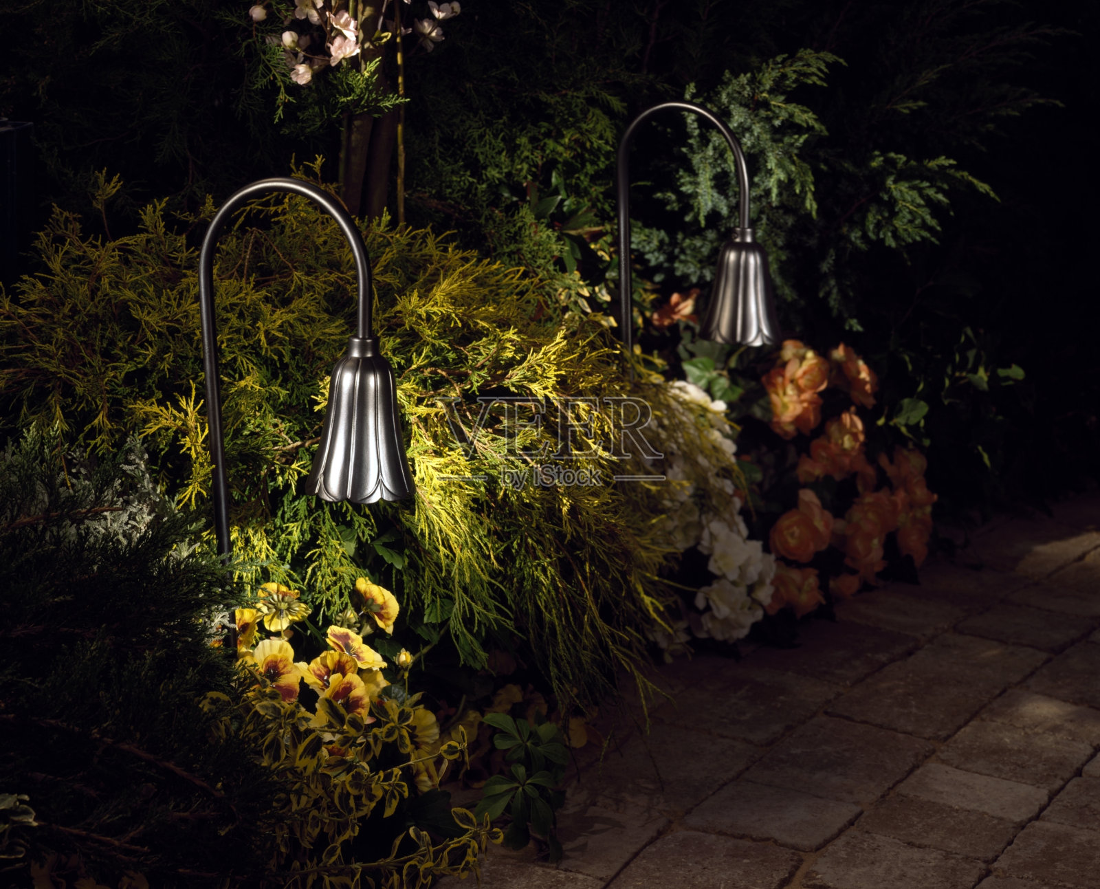 正式花园，两盏夜灯照片摄影图片