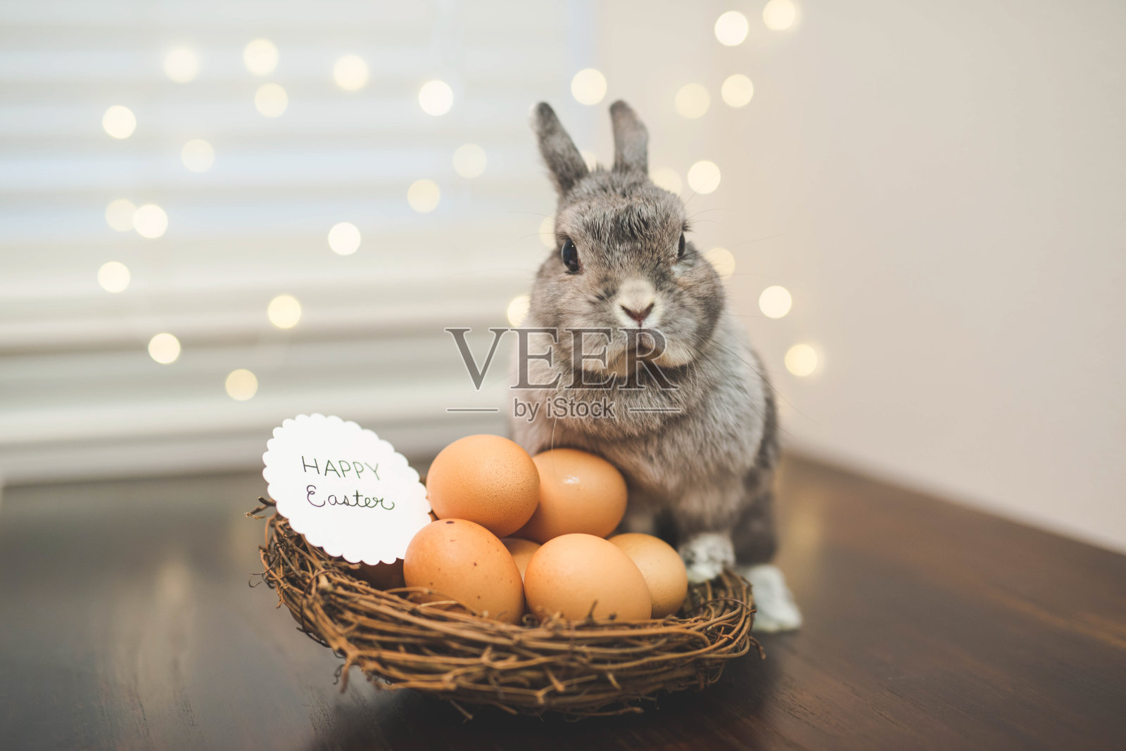 小兔子看着复活节彩蛋篮子照片摄影图片