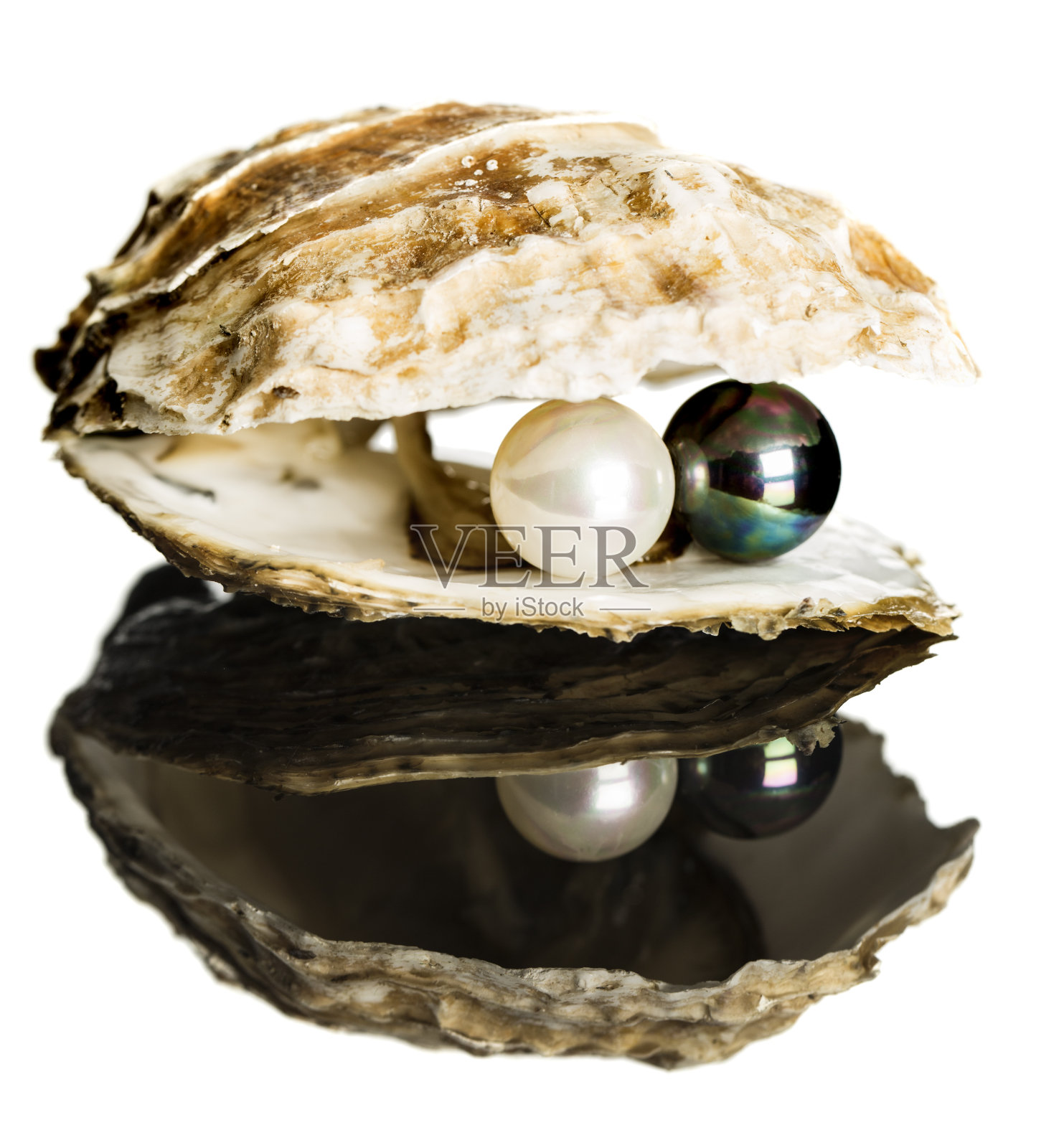 牡蛎和黑白珍珠照片摄影图片