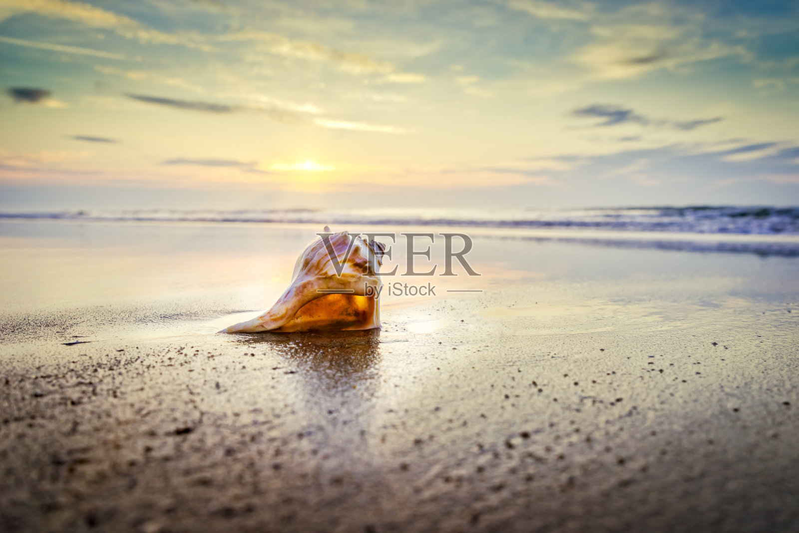 海螺壳、日出、海滩、海浪照片摄影图片
