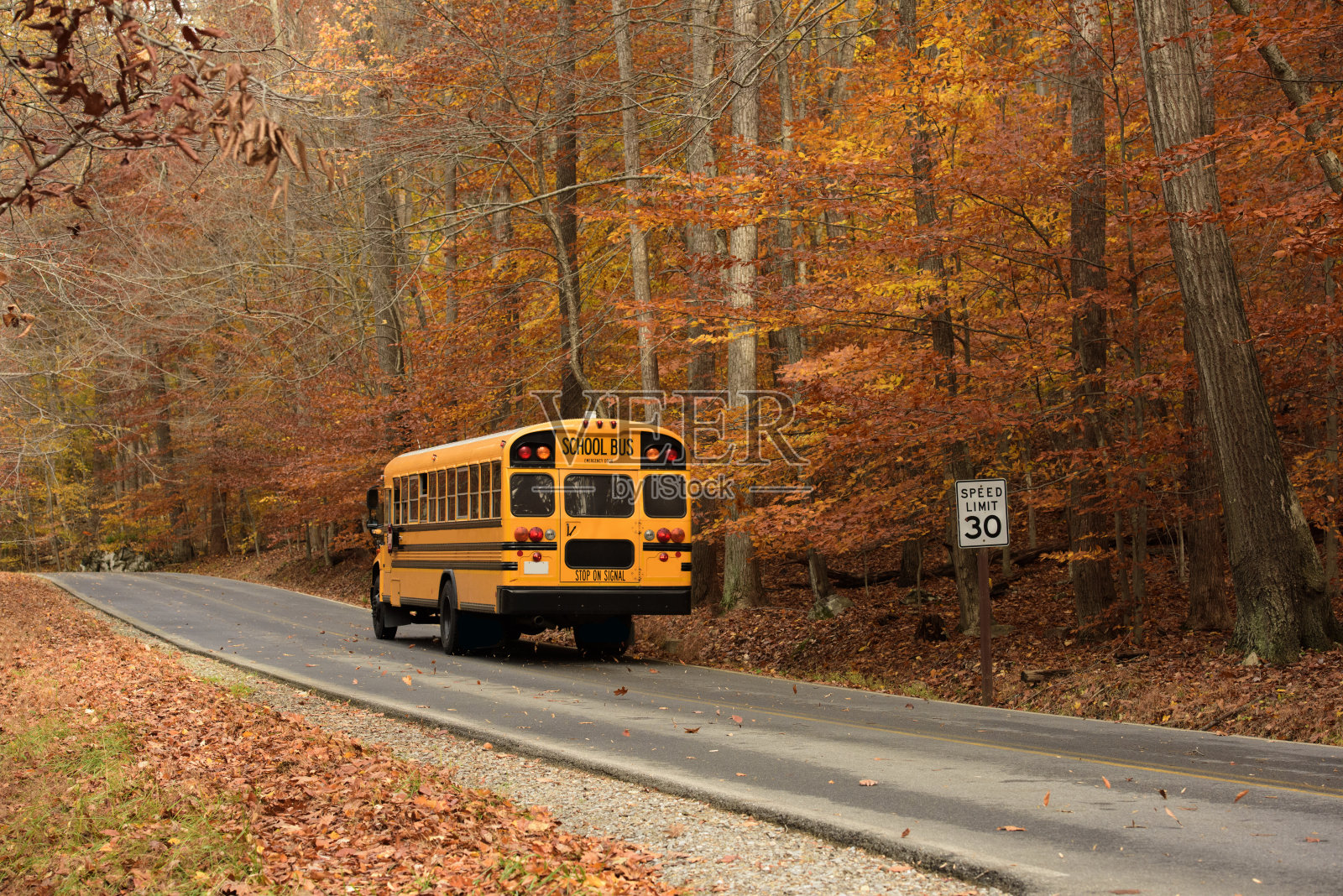 秋天的乡村道路上的校车照片摄影图片
