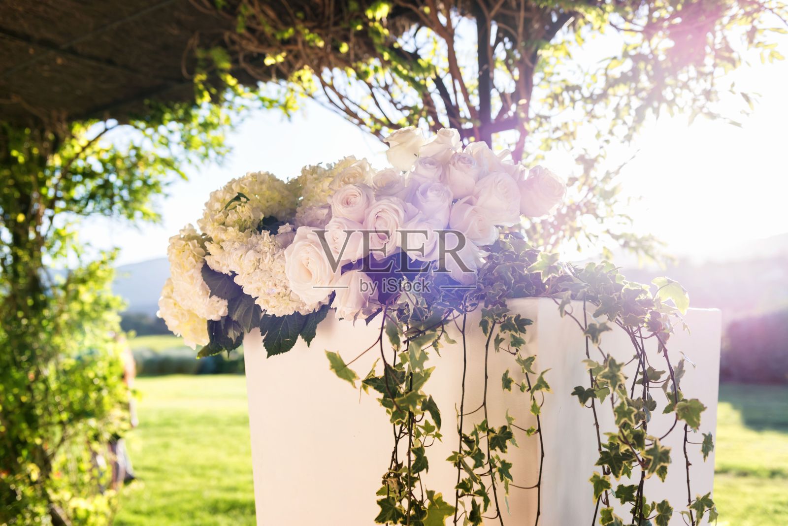 奢华婚礼鲜花装饰照片摄影图片