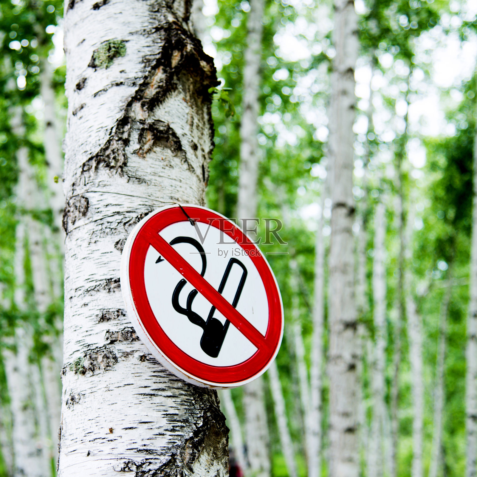 森林里有禁烟标志照片摄影图片