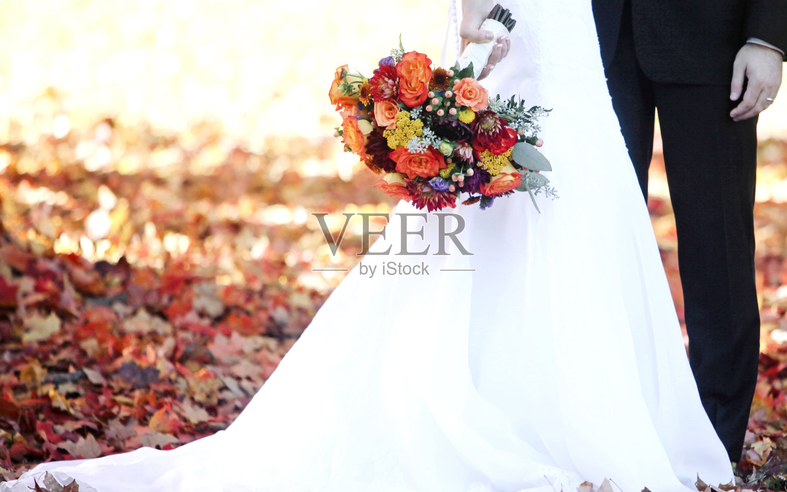 秋天的婚礼照片摄影图片