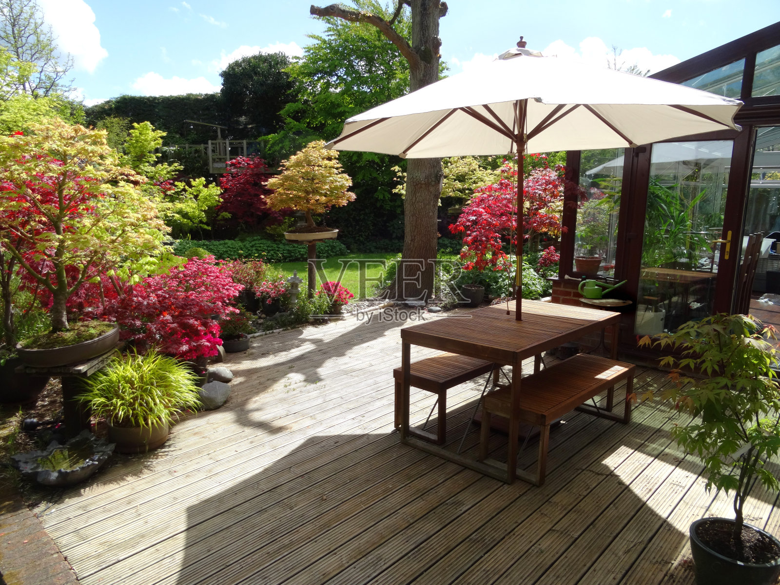 木材装饰，带遮阳伞的花园桌子，upvc温室，枫树照片摄影图片