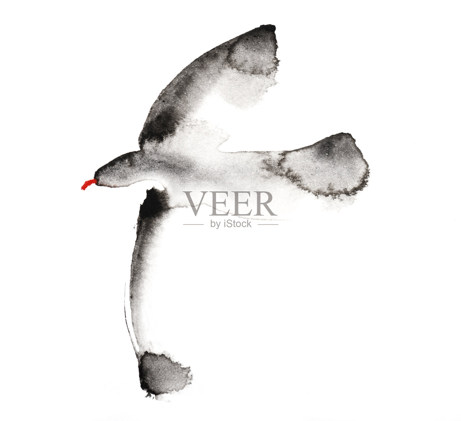 水彩画海鸥在白色的背景插画图片素材