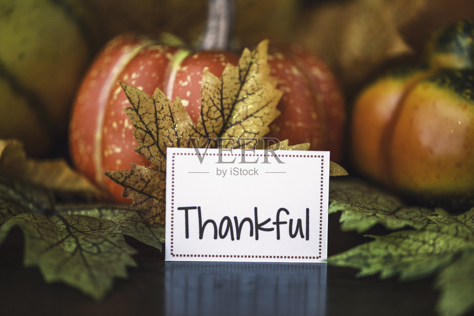 用南瓜，树叶和感谢的信息来安排感恩节的秋天照片摄影图片