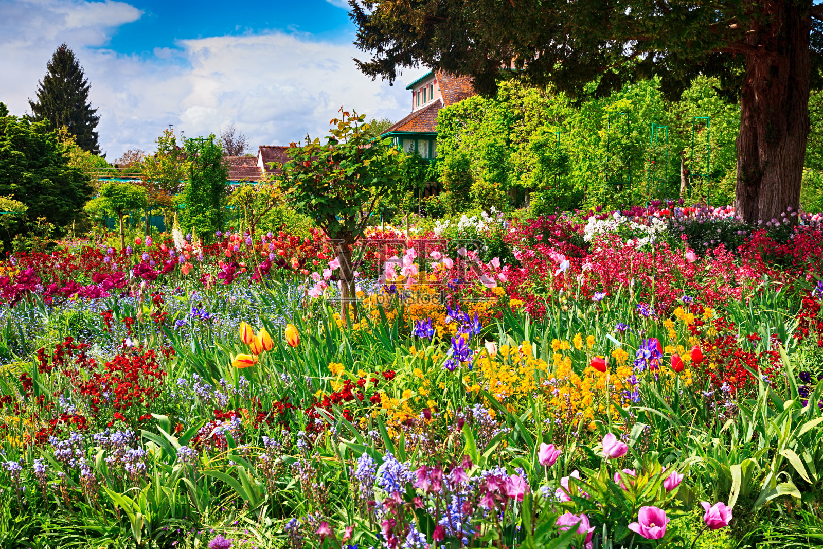 法国吉维尼的春天花园照片摄影图片