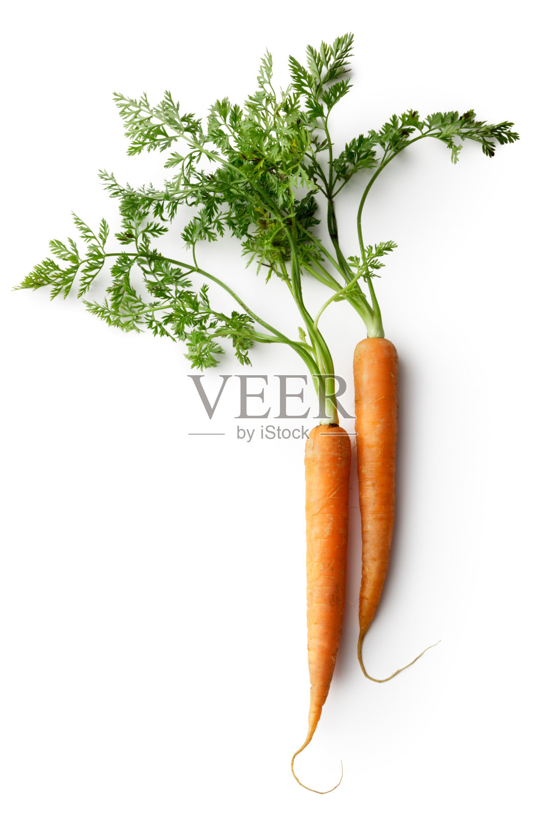 蔬菜:白色背景上孤立的胡萝卜照片摄影图片