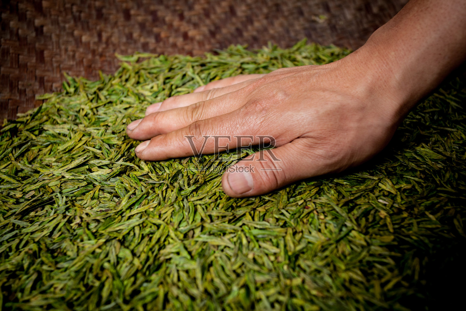中国的茶叶生产照片摄影图片