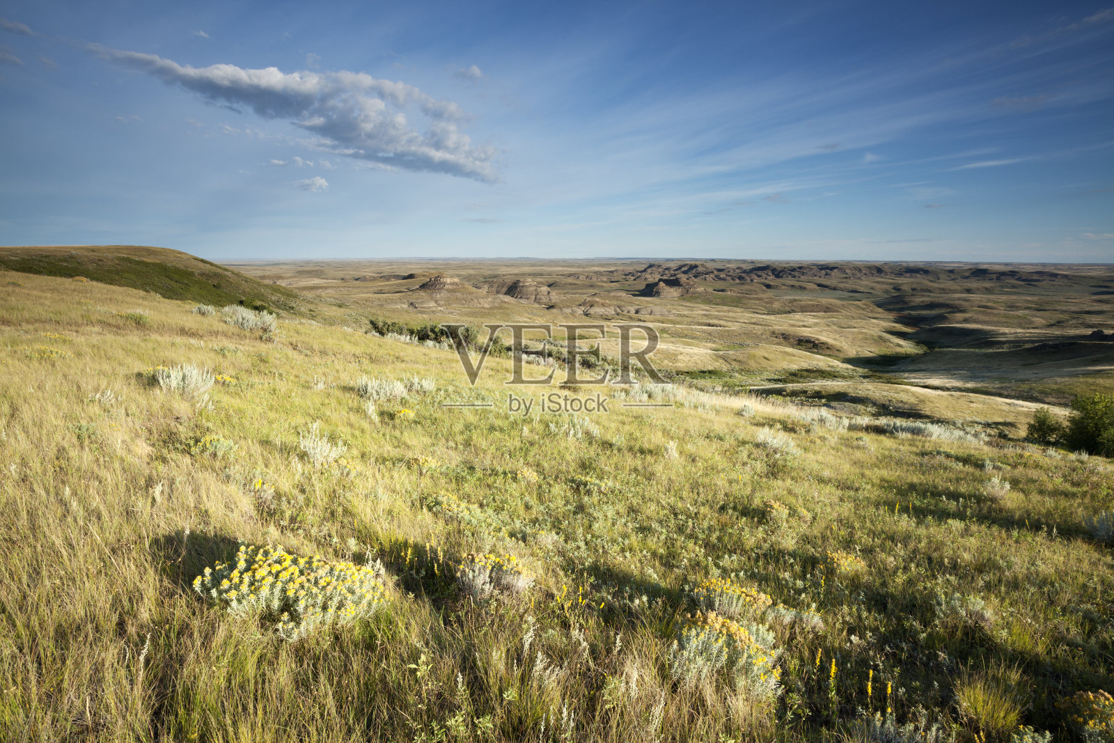 草原国家公园，加拿大萨斯喀彻温省照片摄影图片