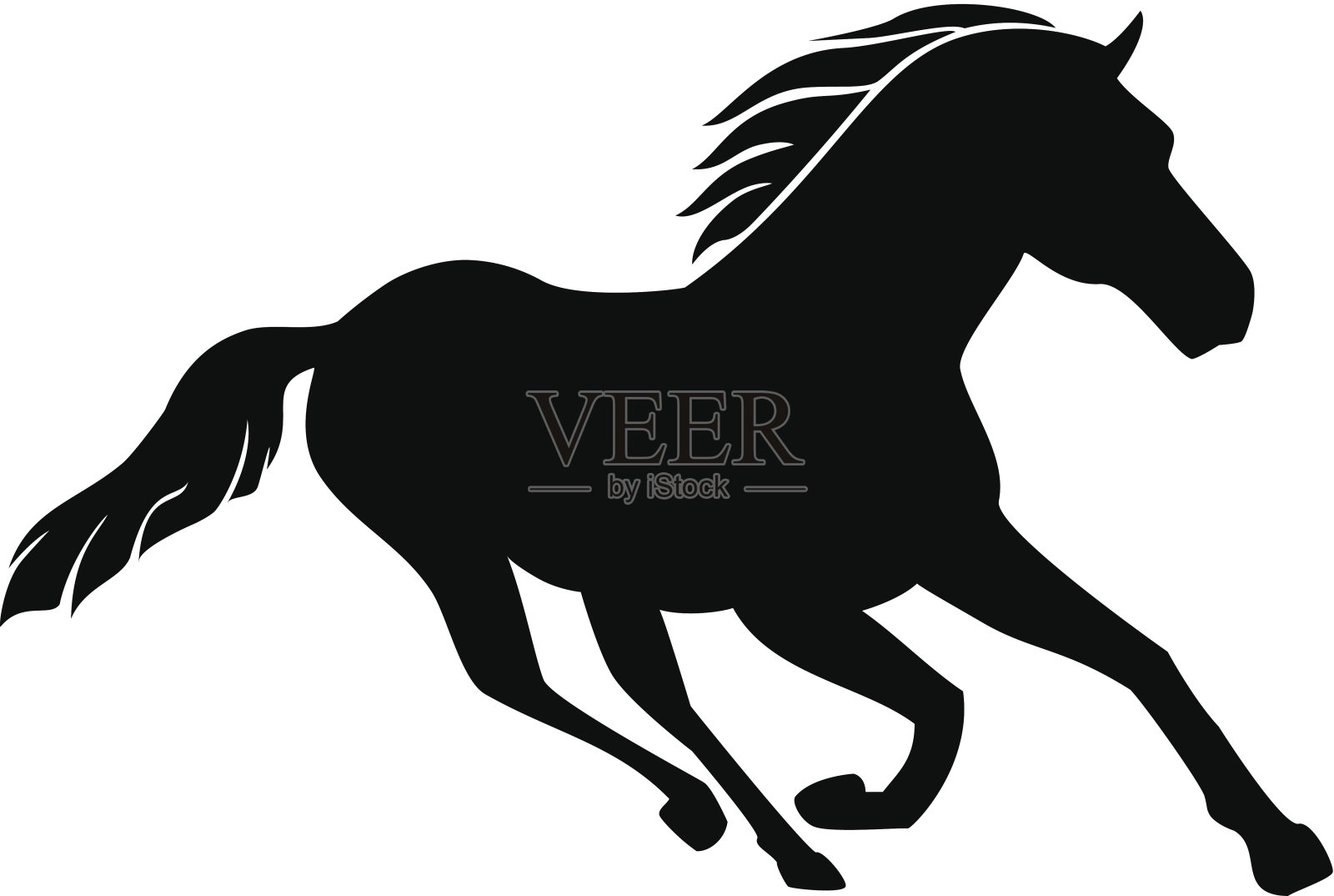 一匹奔跑的马的黑白照片插画图片素材