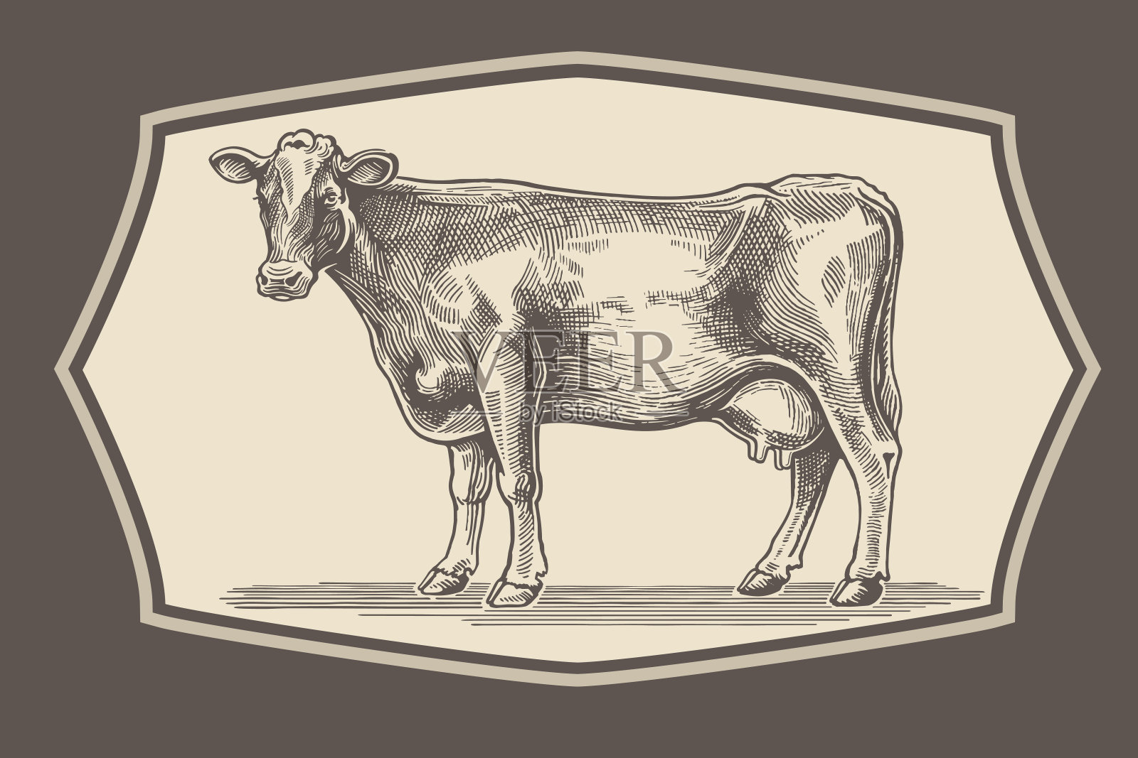 图形风格的奶牛。插画图片素材
