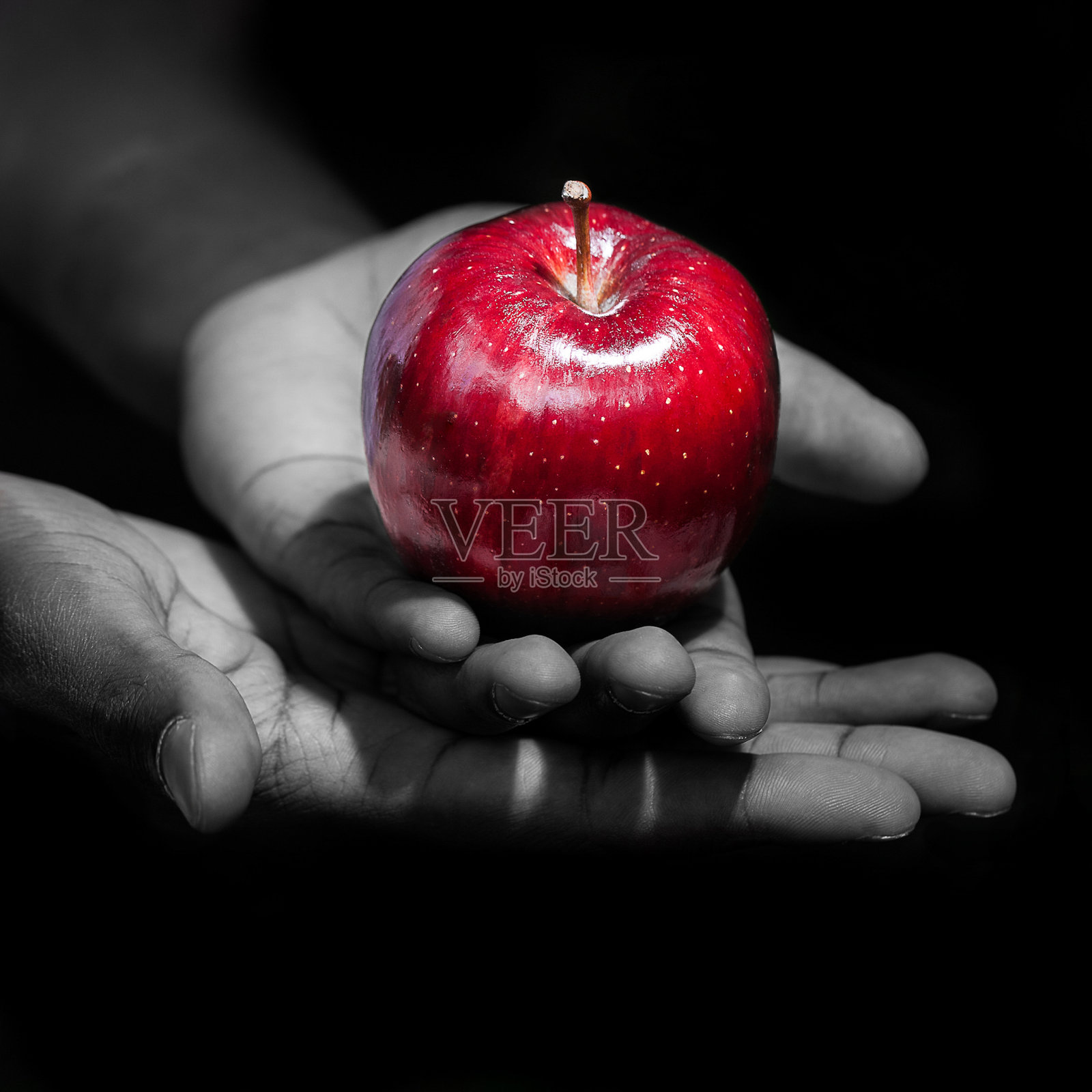 拿着一个红苹果，禁果照片摄影图片