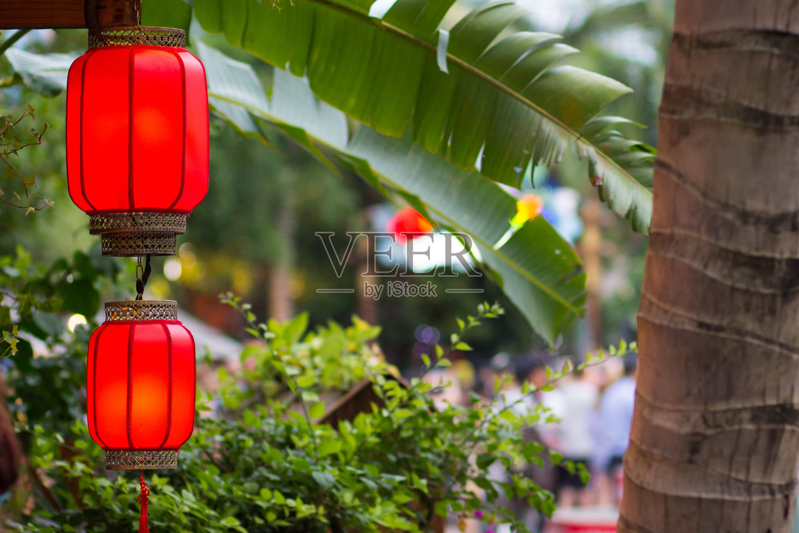 桶形的中国双红灯笼早在傍晚照片摄影图片
