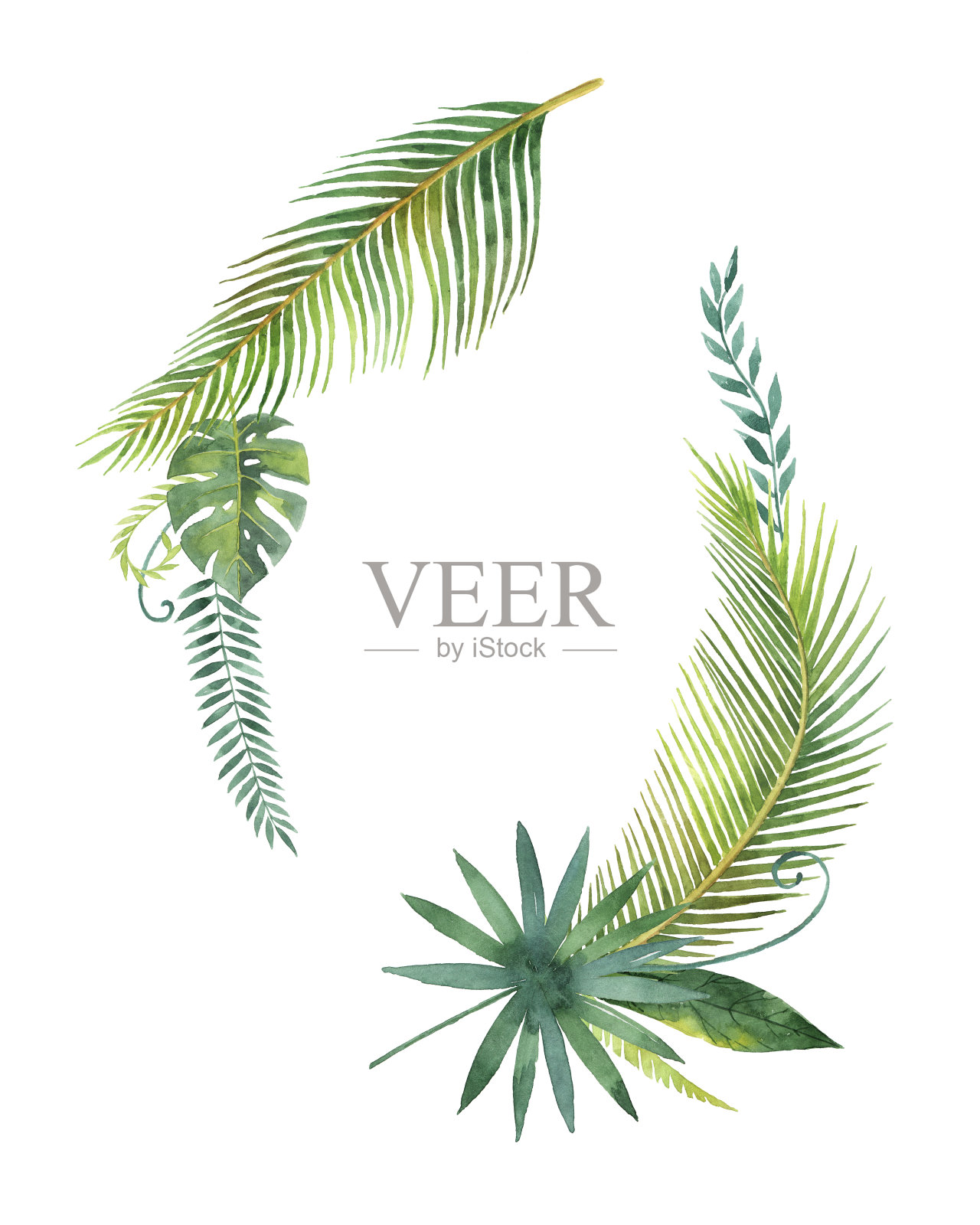 水彩花环热带树叶和树枝孤立在白色的背景。设计元素图片