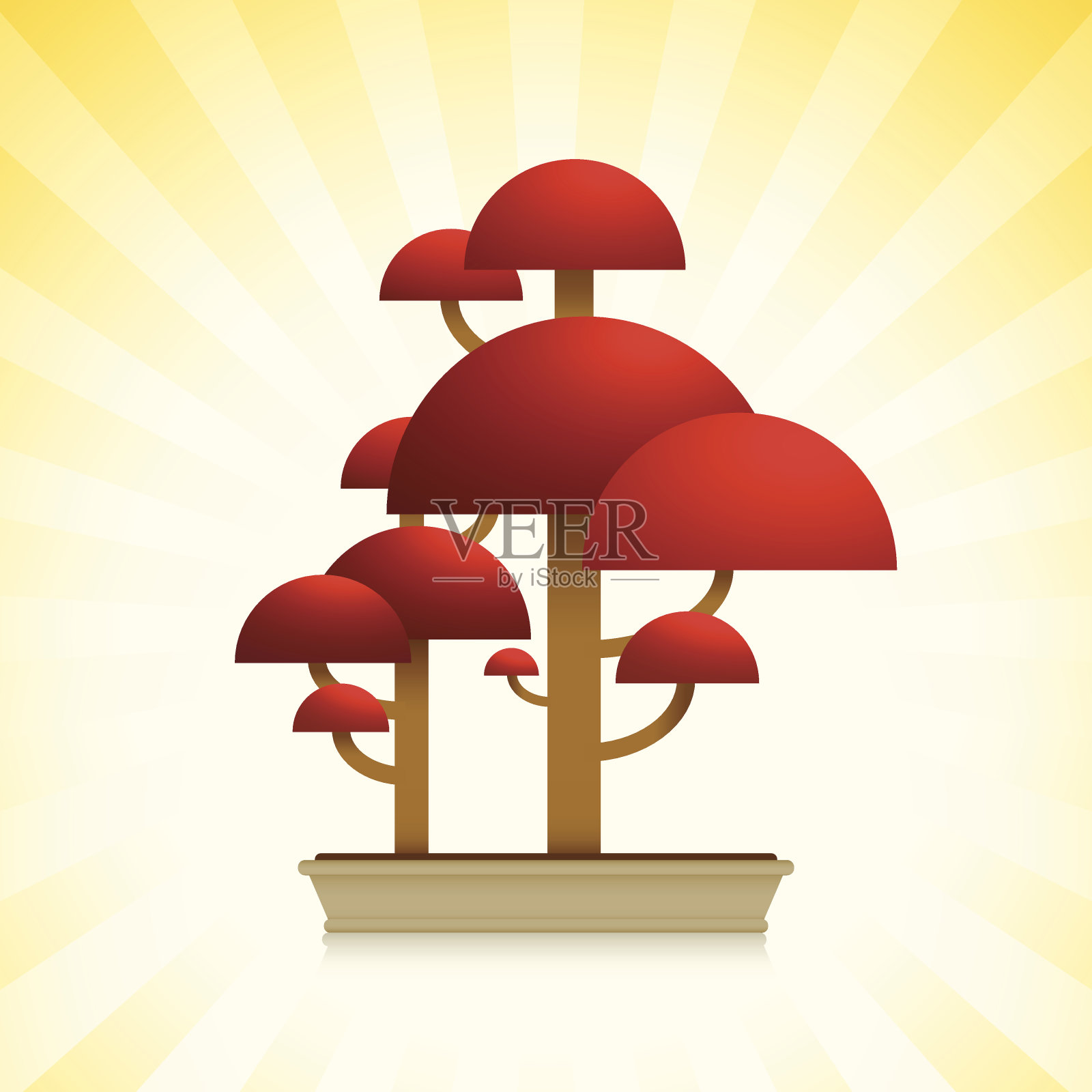 红枫(血好)盆景树插画图片素材