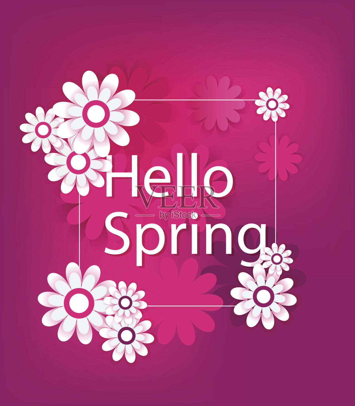 春花海报与白色的边界和粉红色和白色的花在深粉红色的背景插画图片素材