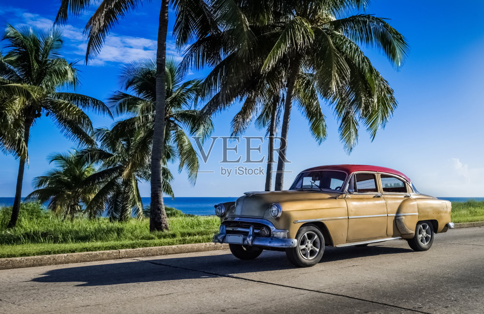 在古巴的巴拉德罗，一辆美国金色老爷车在棕榈树下行驶插画图片素材
